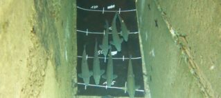 “OptiPass” – First successful field study in Uzbekistan “OptiPass” – First successful field study in Uzbekistan