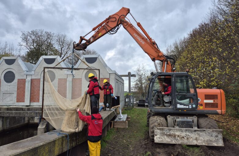 Study of fish damage at a pumping station with a new fish-friendly pump